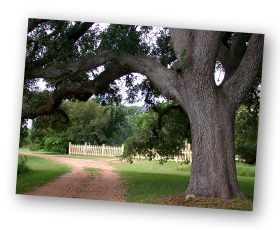 Quebe Farm Entrance