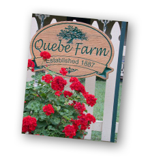 Quebe Farm