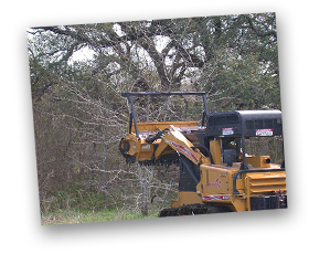 Forestry Mulcher